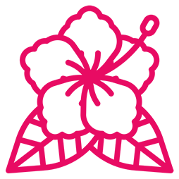 Hibiscus Flower 2