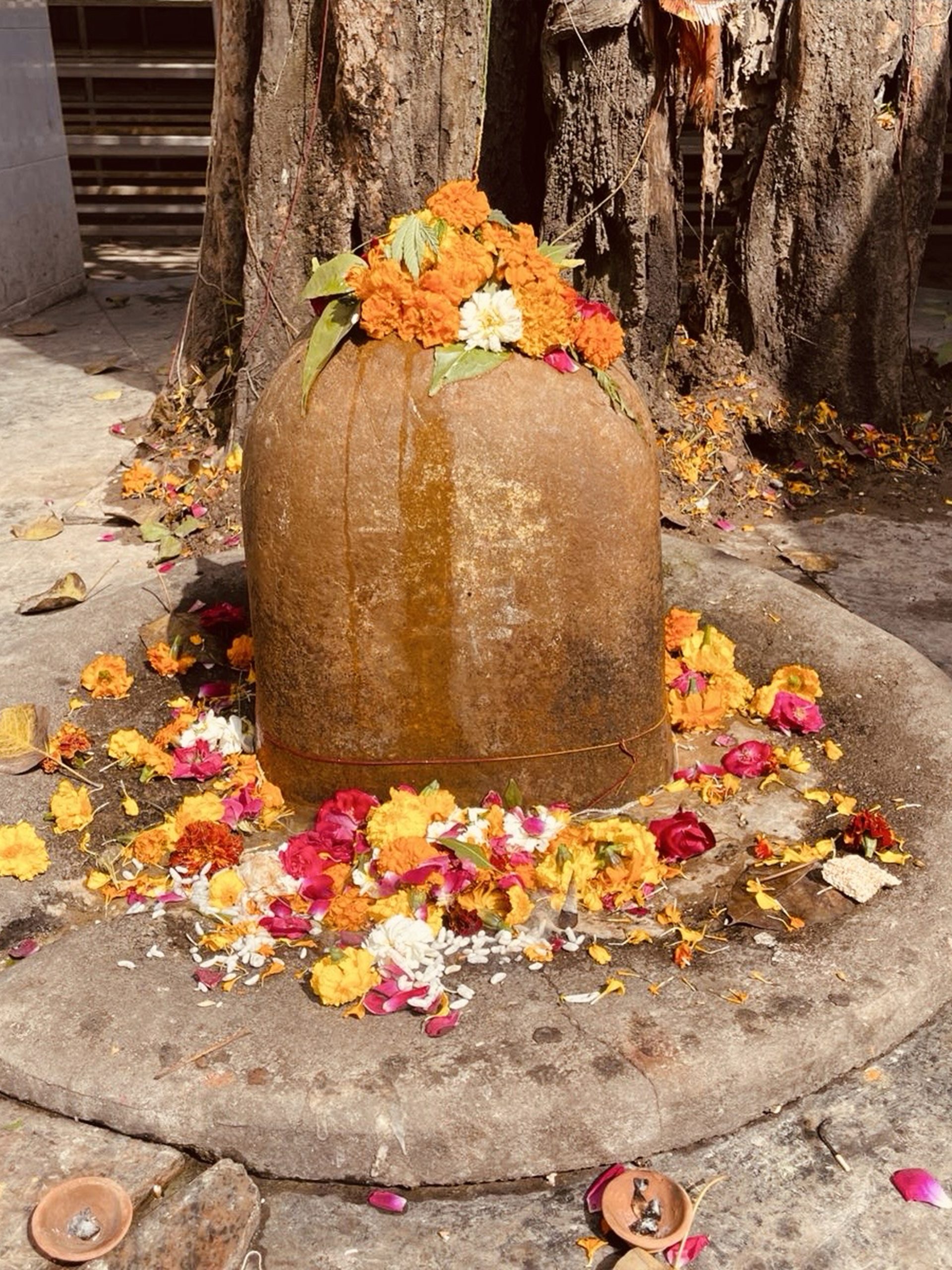 shivling-1